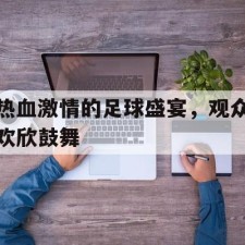 爱游戏体育入口-热血激情的足球盛宴，观众欢欣鼓舞()